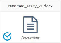 Renamed Essay V1 document