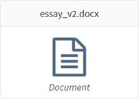 Essay V2 Document