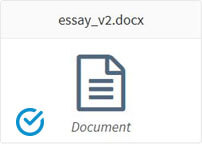 Essay V2 Document